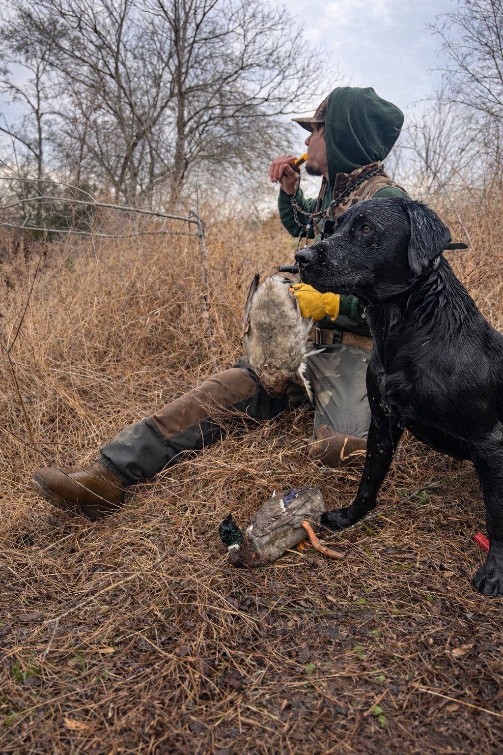 Jeffrey Neu hunting waterfowl with his black Labrador retriever